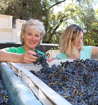 Winemaker Heidi Barrett